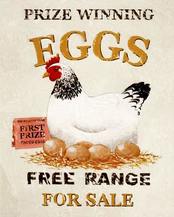 Vintage prize winning eggs tile mural